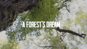 A Forest's Dream's poster