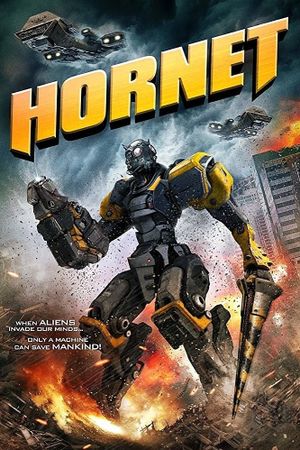 Hornet's poster image