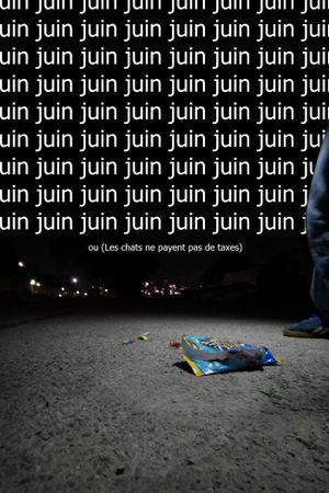 Juin ou  (Les chats ne payent pas de taxes)'s poster