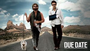 Due Date's poster