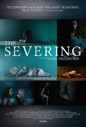 The Severing's poster