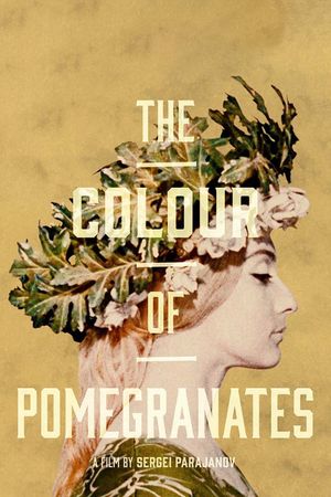 The Color of Pomegranates's poster