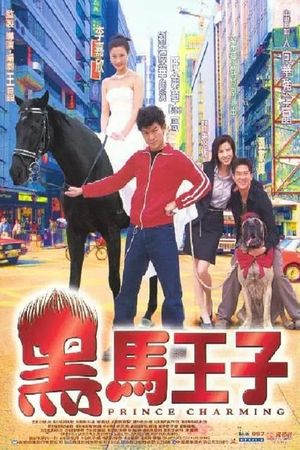 Prince Charming's poster