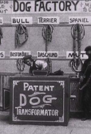 Dog Factory's poster