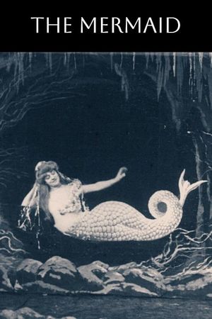The Mermaid's poster