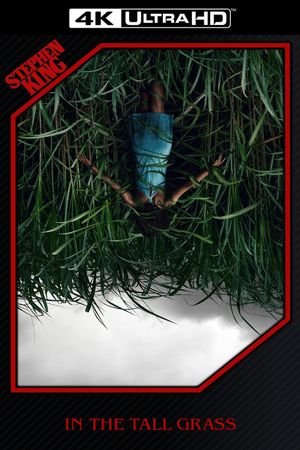 In the Tall Grass's poster