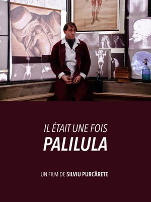 Somewhere in Palilula's poster