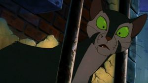 Felidae's poster