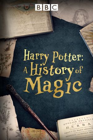 Harry Potter: A History of Magic's poster image