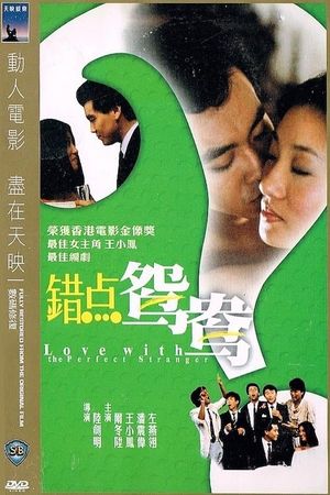 Love with the Perfect Stranger's poster