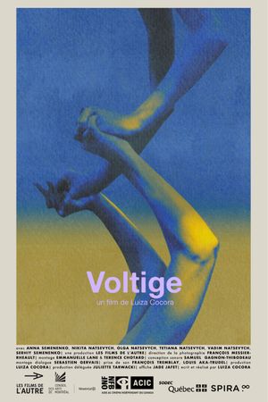 Voltige's poster