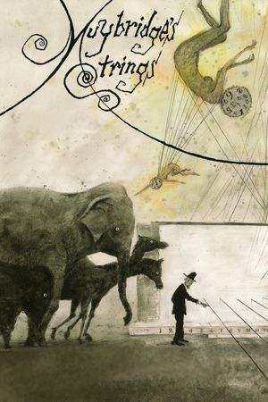 Muybridge's Strings's poster