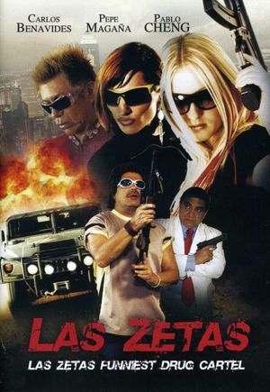 Las Zetas's poster