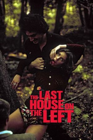 The Last House on the Left's poster