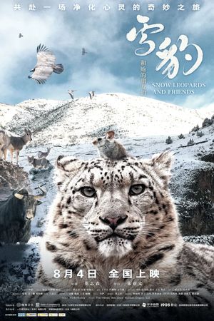 Snow Leopards and Friends's poster