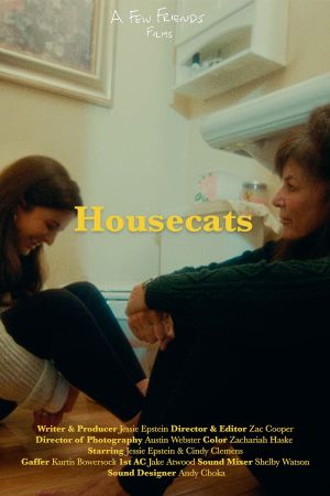 Housecats's poster