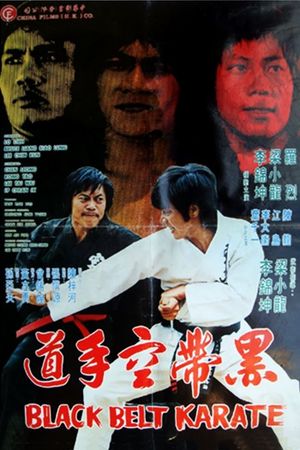 Black Belt Karate's poster