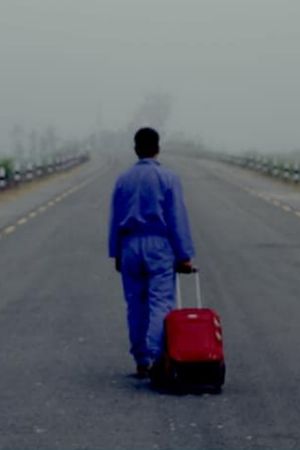 The Red Suitcase's poster