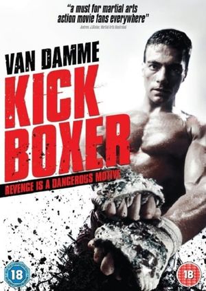 Kickboxer's poster