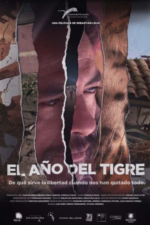 The Year of the Tiger's poster