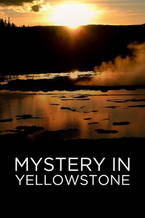 Mystery in Yellowstone's poster