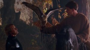 Ladyhawke's poster