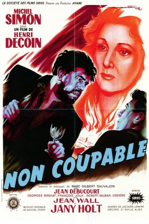 Non coupable's poster