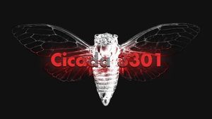 Cicada 3301: An Internet Mystery's poster