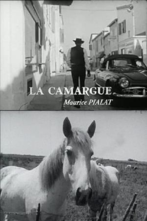 La Camargue's poster
