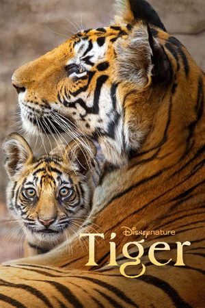 Tiger's poster