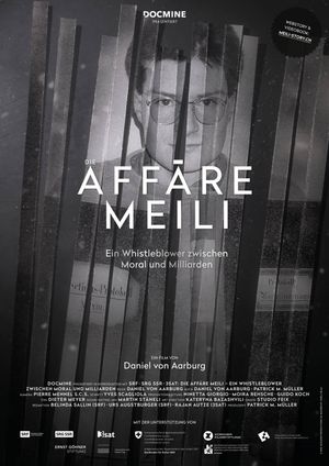 Die Affäre Meili - Ein Whistleblower zwischen Moral und Milliarden's poster image