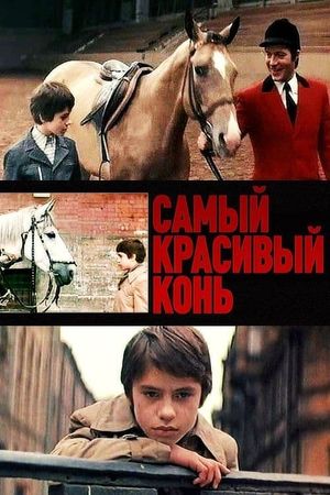 Samyy krasivyy kon's poster