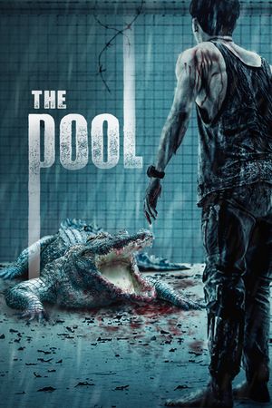 The Pool's poster