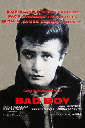 Bad Boy's poster