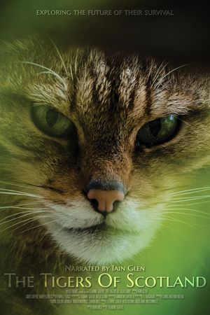 The Tigers of Scotland's poster