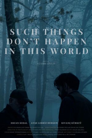 Such Things Don’t Happen in This World's poster