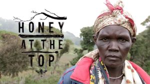 Honey at the Top's poster