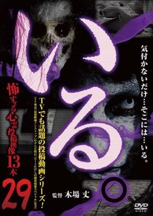 「Iru.」~ Kowasugiru Tōkō Eizō 13-hon ~ Vol.29's poster