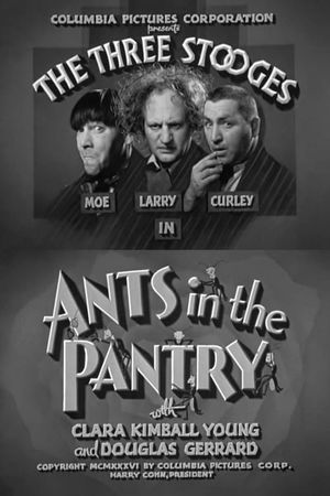 Ants in the Pantry's poster