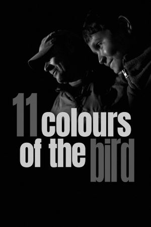 11 Colours of the Bird's poster