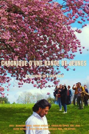 Chronique d'une bande de jeunes (un journal en 6 chapitres)'s poster image