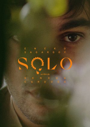 Solo's poster