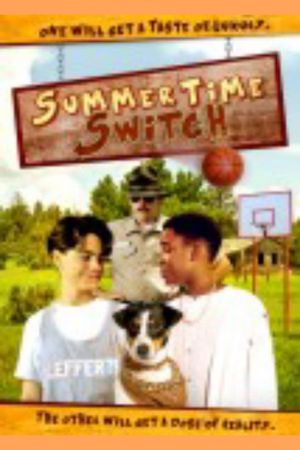 Summertime Switch's poster