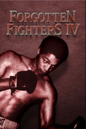 Forgotten Fighters IV's poster
