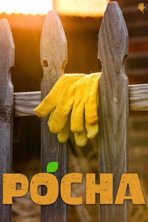 Pocha's poster