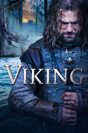 Viking's poster