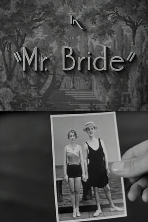 Mr. Bride's poster image