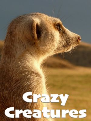 Crazy Creatures's poster