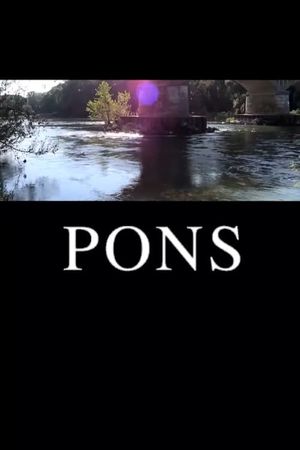 Pons's poster