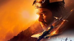 The Pilot: A Battle for Survival's poster
